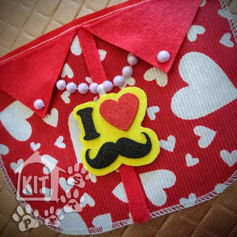 Camisa Dia dos Pais Fêmea - 5 unidades