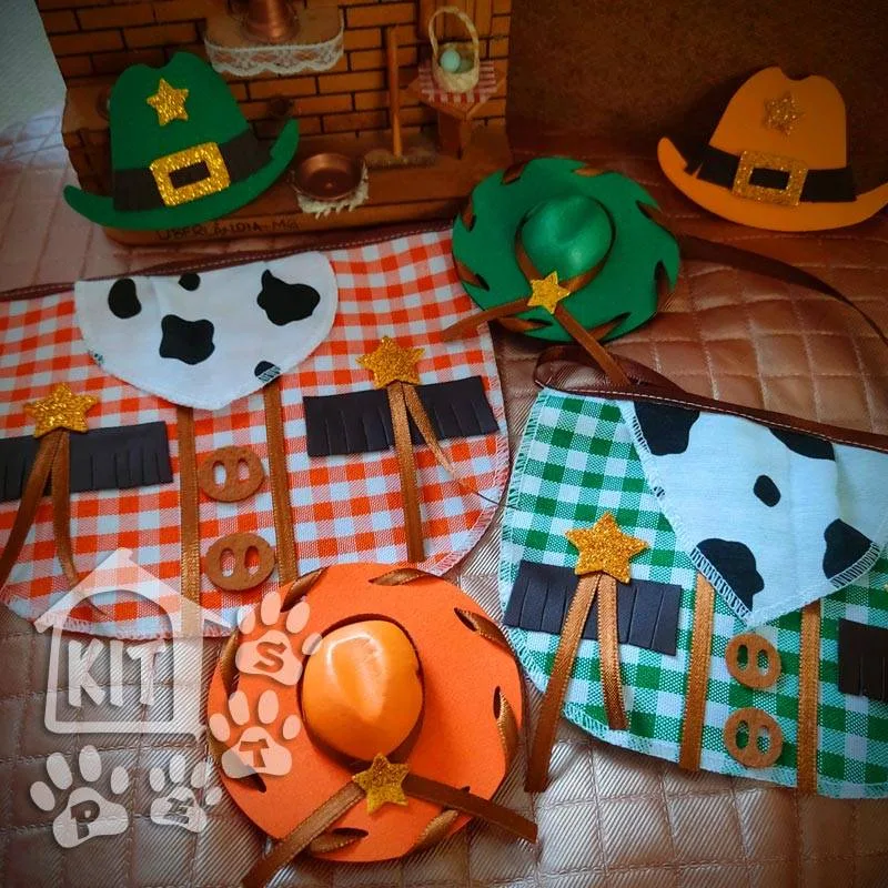 Conjunto Cowboy com chapéu Topete - 10 unidades