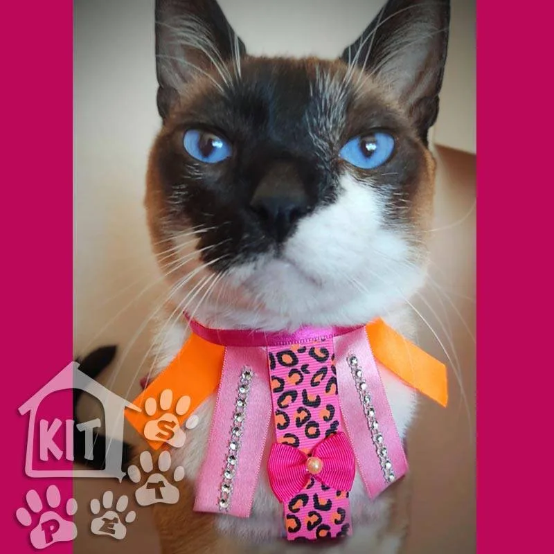 Conjunto Gargantilhas Fitas Kitpets - 10 unidades